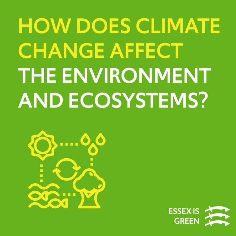 How does climate change affect the environment and ecosystems? enform